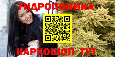прущие грибы Пенза